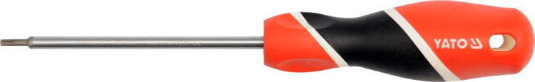 Wkretak-torx-security-t25x100mm